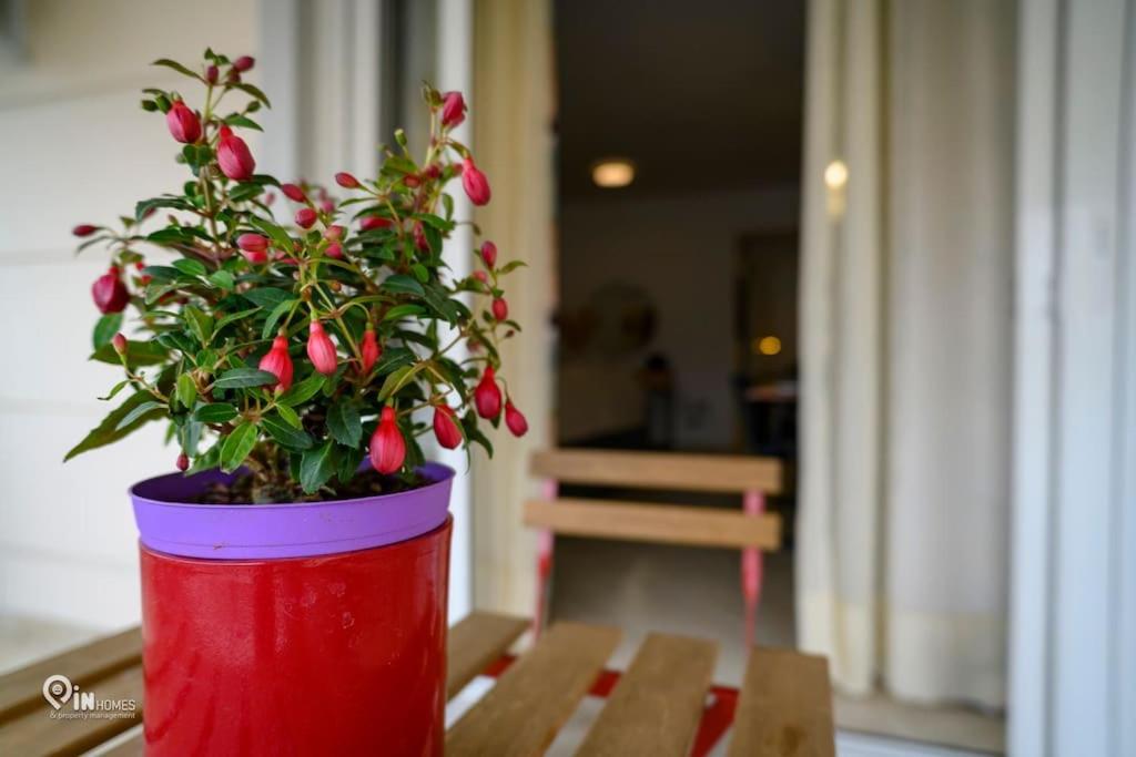 Thyme Out In Apartment *